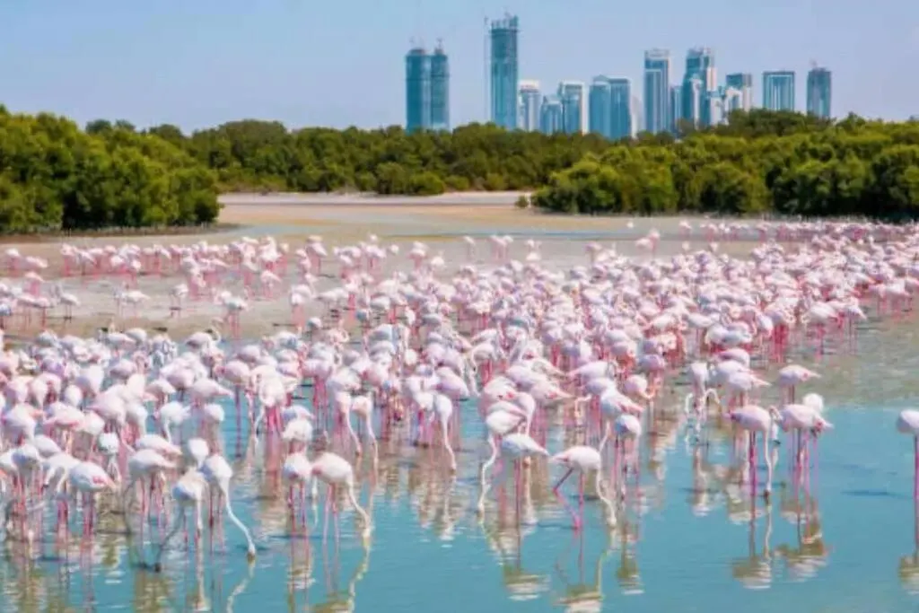 Luxury 2Br Flat In Palace Residence Dubai United Arab Emirates